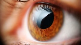 Sales Techniques: The Viewing of Opportunities