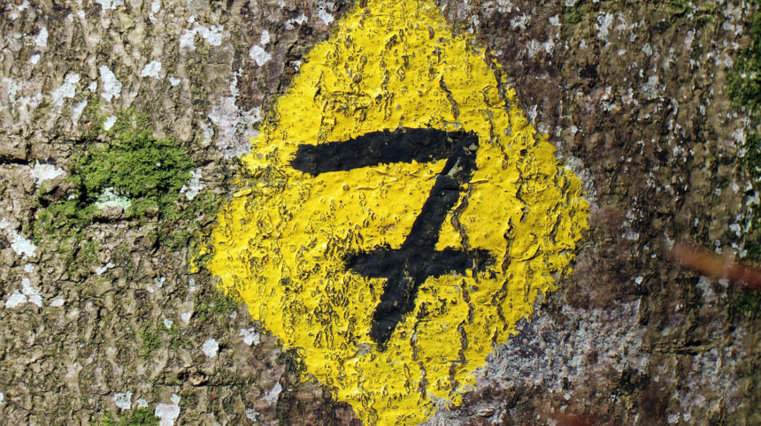 Seven Insightful Questions To Ask Prospects During the Sales Process