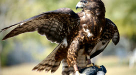 5 Sales Enablers Every Sales Manager Should Watch Like a Hawk