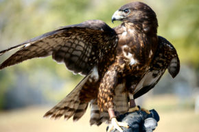 5 Sales Enablers Every Sales Manager Should Watch Like a Hawk