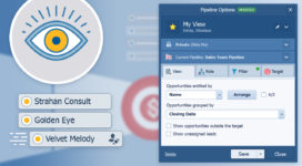 Pipeliner CRM “My View” Feature: Your Sales Mind