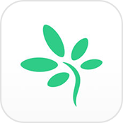 TimeTree App Shared Calendar