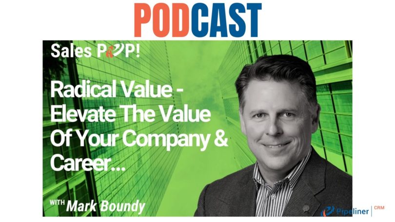 🎧 Radical Value – Elevate The Value Of Your Company & Career