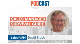 🎧 Sales Manager Survival Guide