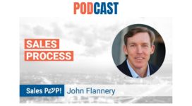 🎧 Sales Process & Strategies