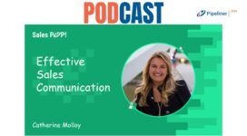 🎧 Effective Sales Communication and Sales Skills