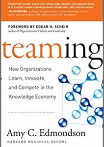 Teaming: How Organizations Learn, Innovate, and Compete in the Knowledge Economy Cover