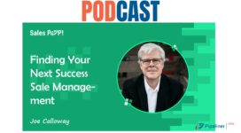 🎧 Finding Your Next Success – Sale Management