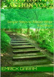 Intuition to Action Vol 2: Simple Steps to Attract What You Want Cover