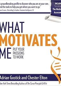 What Motivates Me: Put Your Passions to Work Cover