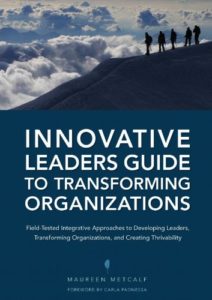 Innovative Leaders Guide to Transforming Organizations Cover