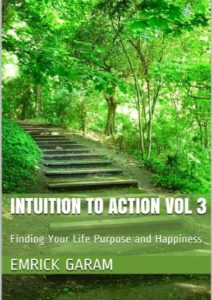 Intuition to Action Vol 3: Finding Your Life Purpose and Happiness Cover