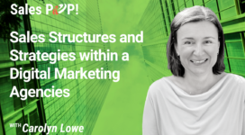 Sales Structures and Strategies within a Digital Marketing Agencies