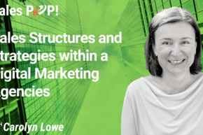 Sales Structures and Strategies within a Digital Marketing Agencies