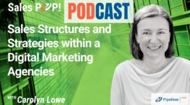 🎧  Sales Structures and Strategies within a Digital Marketing Agencies