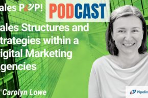 🎧  Sales Structures and Strategies within a Digital Marketing Agencies