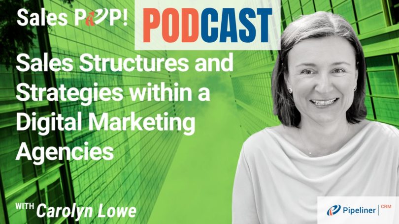 🎧  Sales Structures and Strategies within a Digital Marketing Agencies