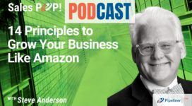 🎧   14 Principles How To Grow Your Business Like Amazon with Steve Anderson