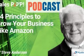 🎧   14 Principles How To Grow Your Business Like Amazon with Steve Anderson