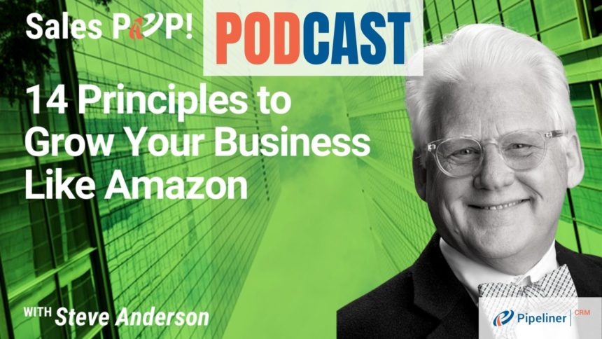 🎧   14 Principles How To Grow Your Business Like Amazon with Steve Anderson