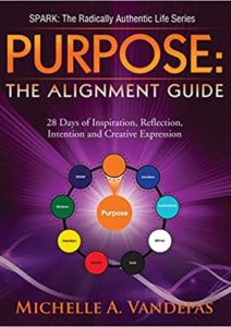 PURPOSE: The Alignment Guide Cover