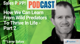 🎧  How We Can Learn From Wild Predators To Thrive In Life – Part 2