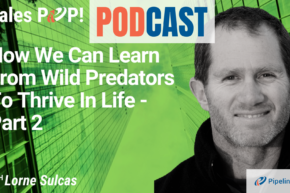 🎧  How We Can Learn From Wild Predators To Thrive In Life – Part 2