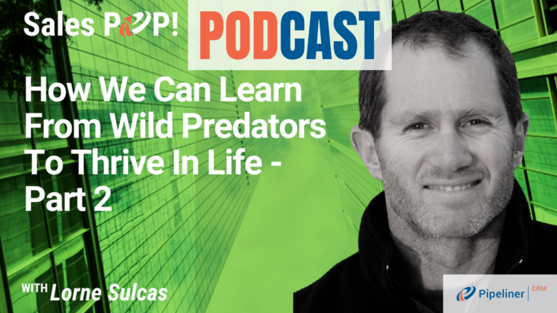 🎧  How We Can Learn From Wild Predators To Thrive In Life – Part 2