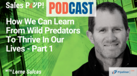 🎧   How We Can Learn From Wild Predators To Thrive In Life – Part 1