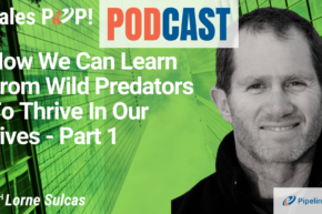 🎧   How We Can Learn From Wild Predators To Thrive In Life – Part 1