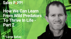 How We Can Learn From Wild Predators To Thrive In Life – Part 2