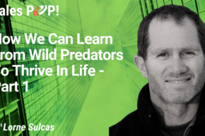 How We Can Learn From Wild Predators To Thrive In Life- Part 1