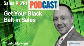 🎧  Get Your Black Belt in Sales