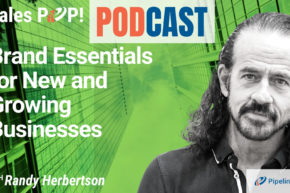 🎧  Brand Essentials for New and Growing Businesses