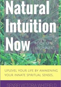 Natural Intuition Now: Beginner Level: Uplevel your life by awakening your innate spiritual senses Cover