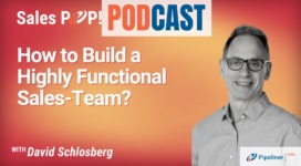🎧  How to Build a Highly Functional Sales-Team?