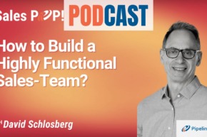 🎧  How to Build a Highly Functional Sales-Team?