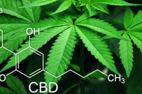 From An Agency Perspective: Marketing Steps To Grow Authority To Your CBD Brand
