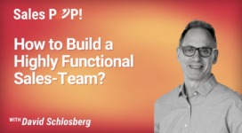 How to Build a Highly Functional Sales-Team? (video)