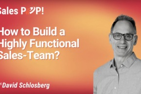 How to Build a Highly Functional Sales-Team? (video)