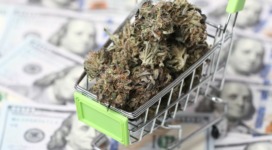How to Gain More Visitors to Your Online Cannabis Store