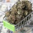 Insights into the cannabis market – Why its success is enduring