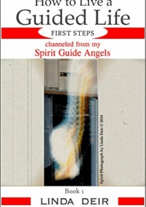 How to Live a Guided Life, FIRST STEPS: channeled from my Spirit Guide Angels, Book 1 Cover