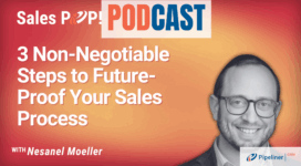 🎧  The Sales Process Optimization Checklist